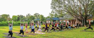 Yoga Teacher Training in Goa