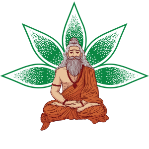 India Yoga School Logo