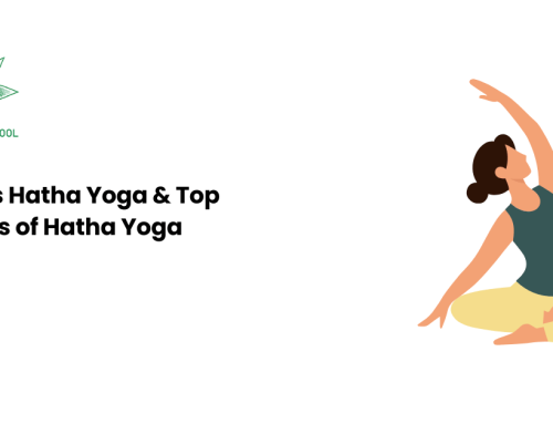 What is Hatha Yoga & Top Benefits of Hatha Yoga